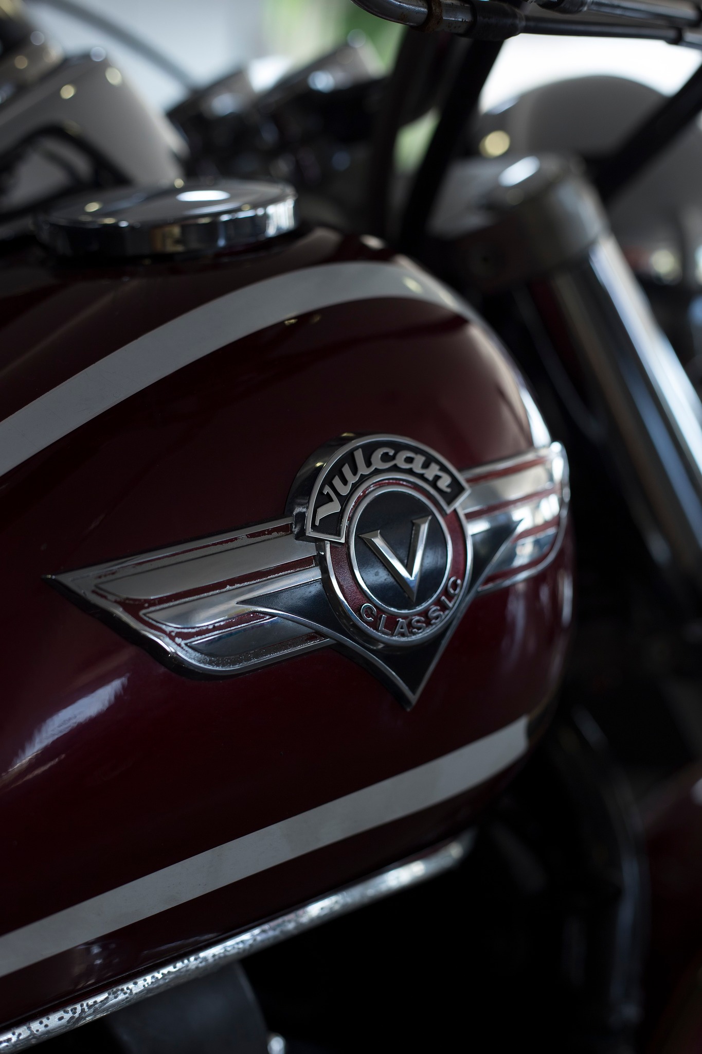 540636247_1251733586967840_5164562753943205062_n